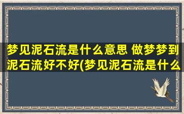 梦见泥石流是什么意思 做梦梦到泥石流好不好(梦见泥石流是什么含义？做梦梦到泥石流到底代表什么？)